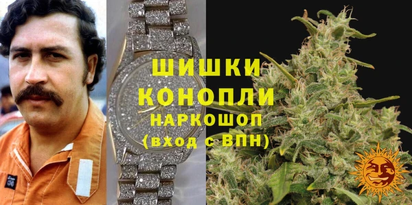 индика Магадан