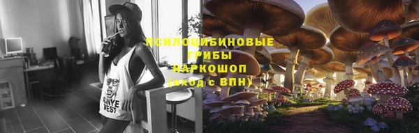 трава Майский