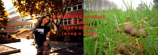 трава Майский